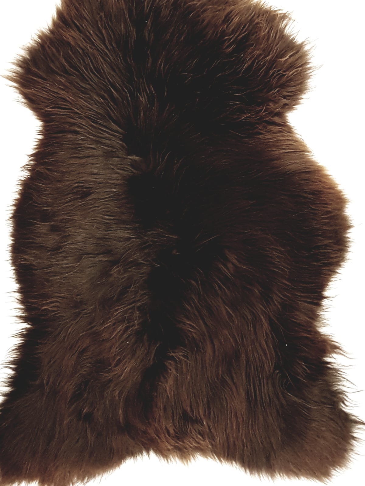 Lamm- / Schafffell 100 x 60 Balu IMG-20201128-WA0034