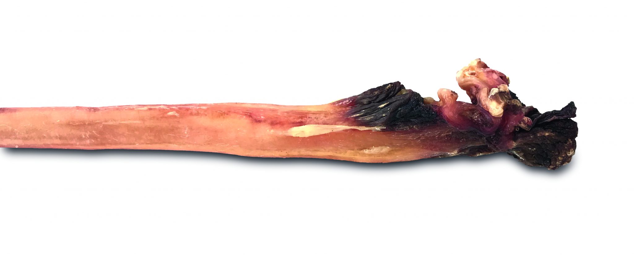ochsenziemer_xxl_gross_ausschnitt
