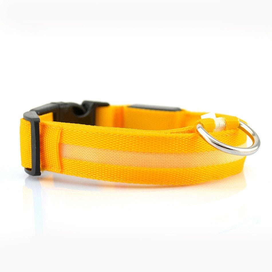 LED Leuchthalsband für Hunde orange - S LED orange