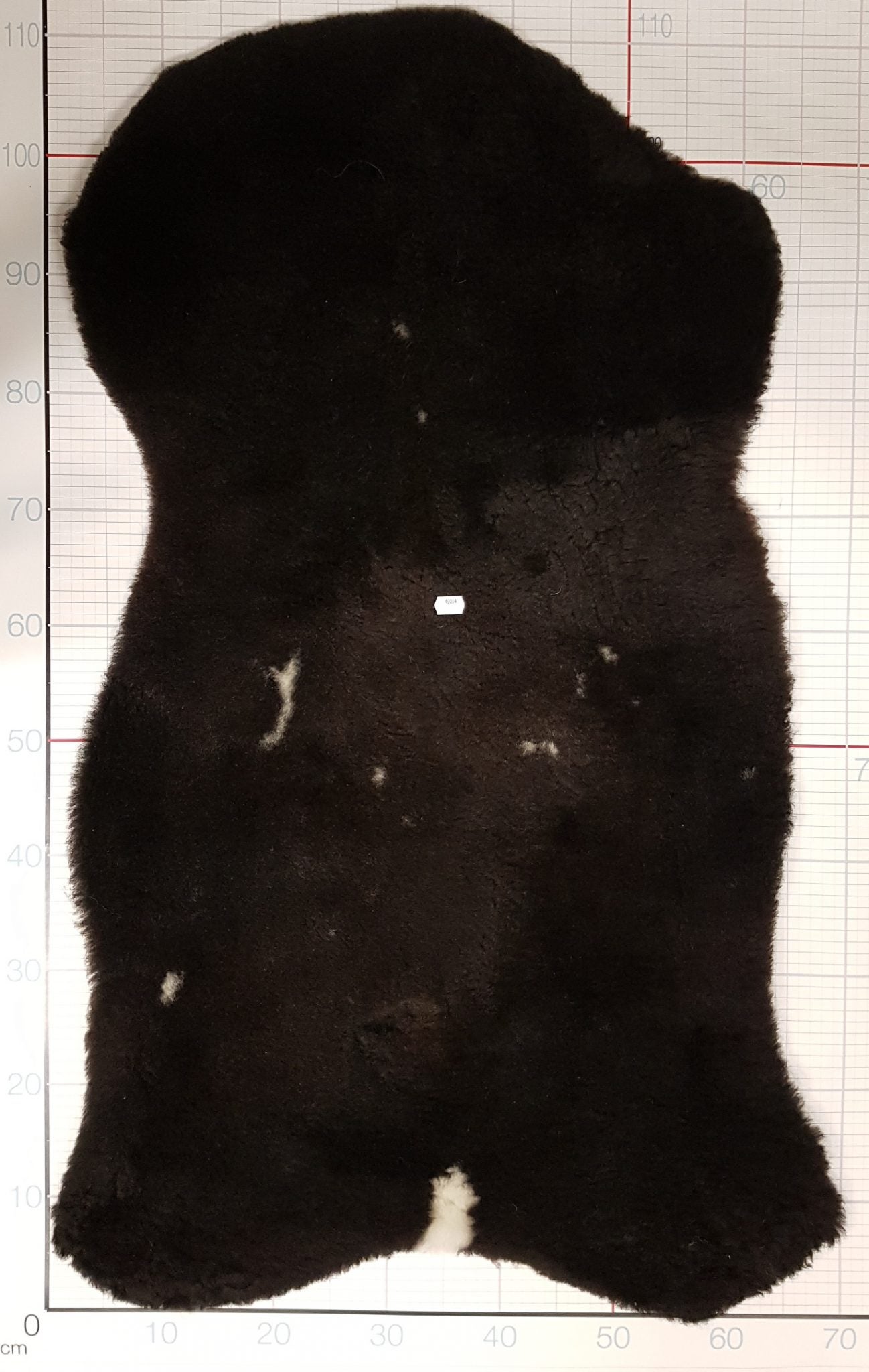 Lamm- / Schaffell 110 x 70 Chief Bogo 40004