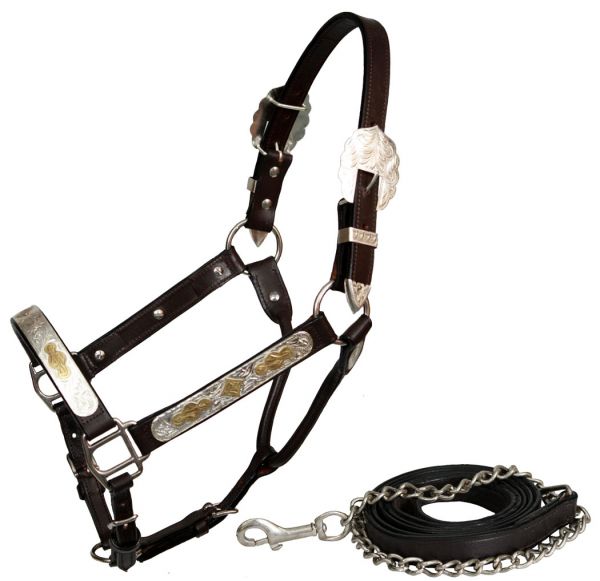 Leder-Showhalfter silber-gold Showhalfter silbergold