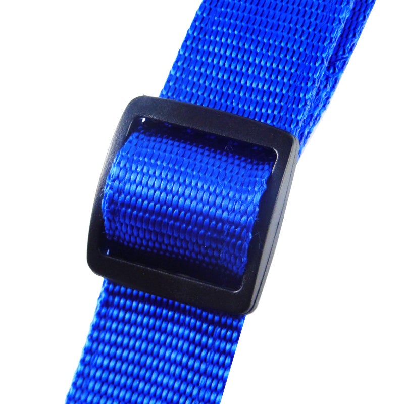 Blau Schnalle