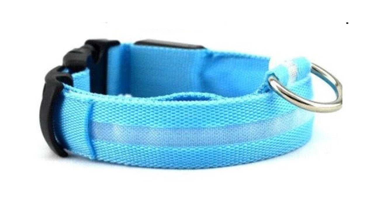 LED Leuchthalsband für Hunde blau - M led Blau