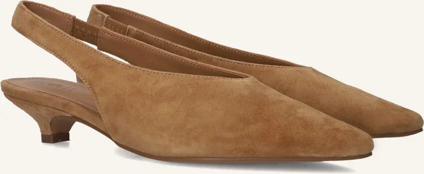 TL-Lenore Ante Camel XR63