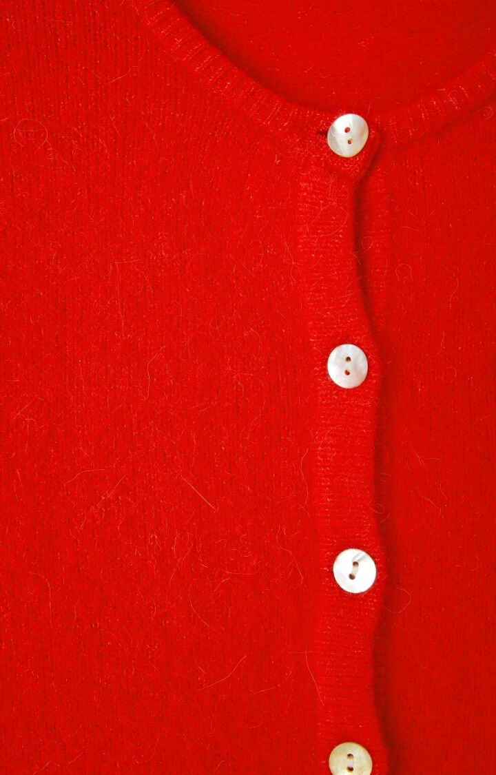 AMERICAN VINTAGE Vest VITO19EE25-FRAISE