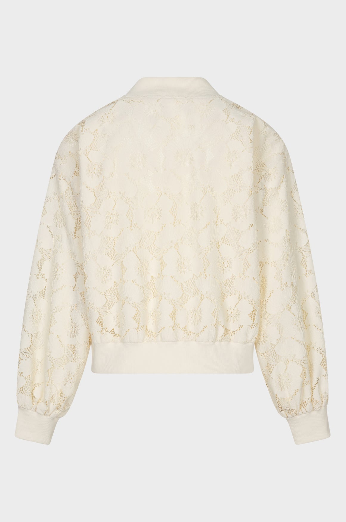 AMAYA Amsterdam Meadow bomber - Beige