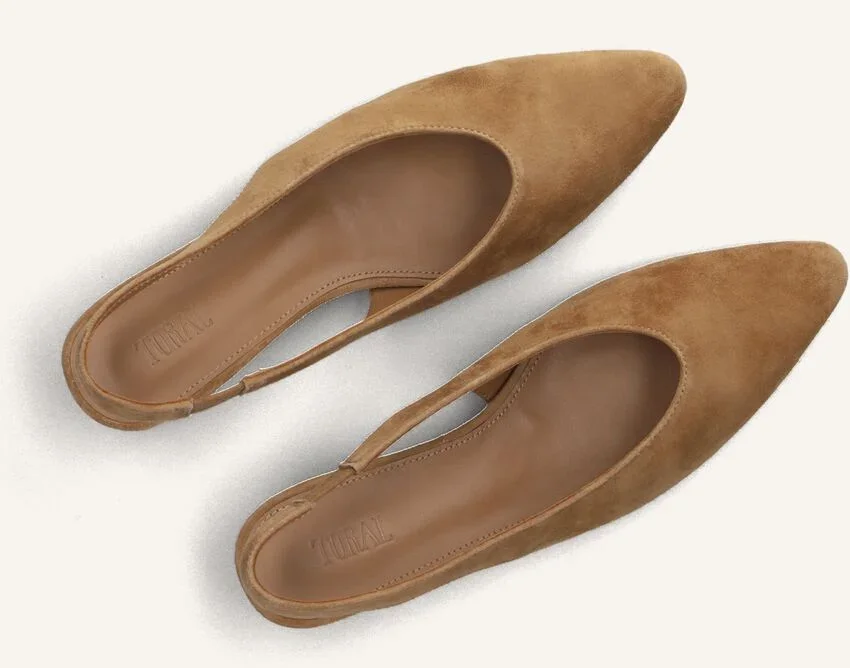 TL-Lenore Ante Camel XR63