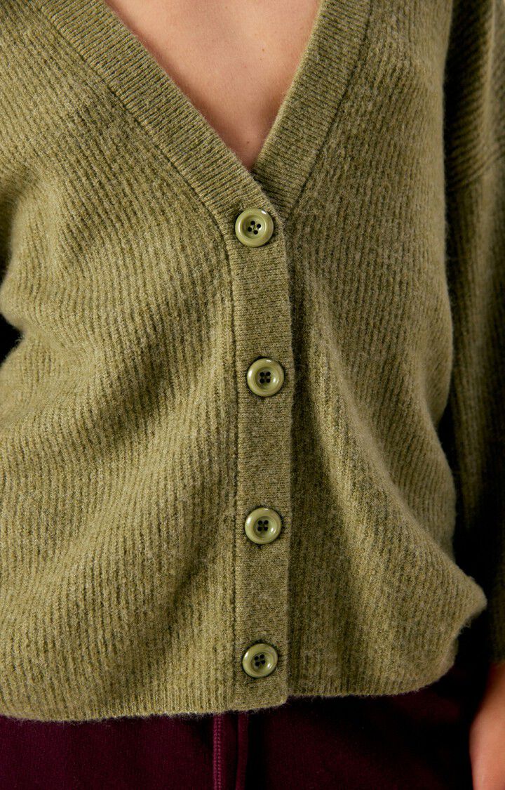 AMERICAN VINTAGE DAMSVILLE DAM19FH26 VEST-LEZARD CHINE