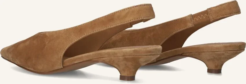 TL-Lenore Ante Camel XR63