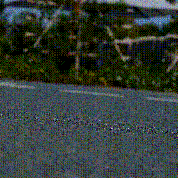 The Health Family Sneaker – Nike Air Force 1 39