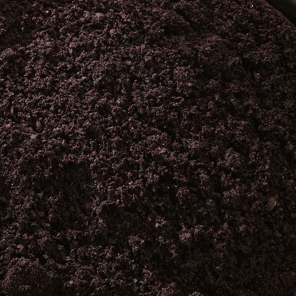 The Health Family Bio Açai Pulver 500 g