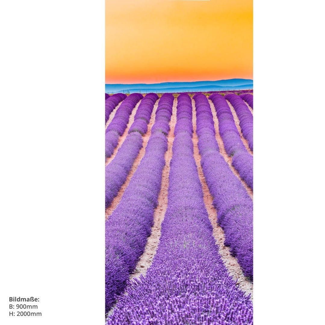 Lavendel Frankreich, fugenlose Wandpaneele aus Alu-Verbund 3mm, Duschrückwand 