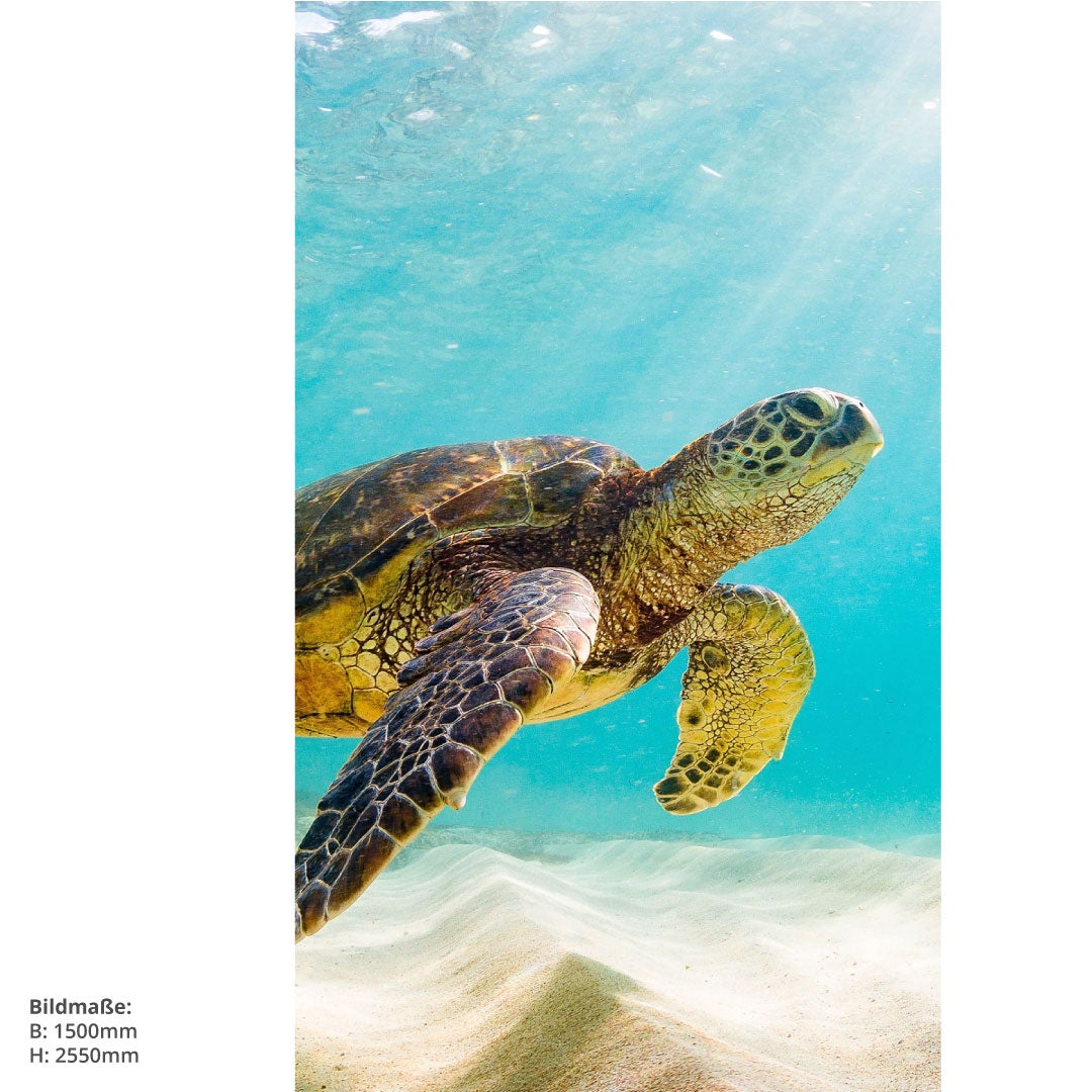 Schildkröte, fugenlose Wandpaneele aus Alu-Verbund 3mm, Duschrückwand 