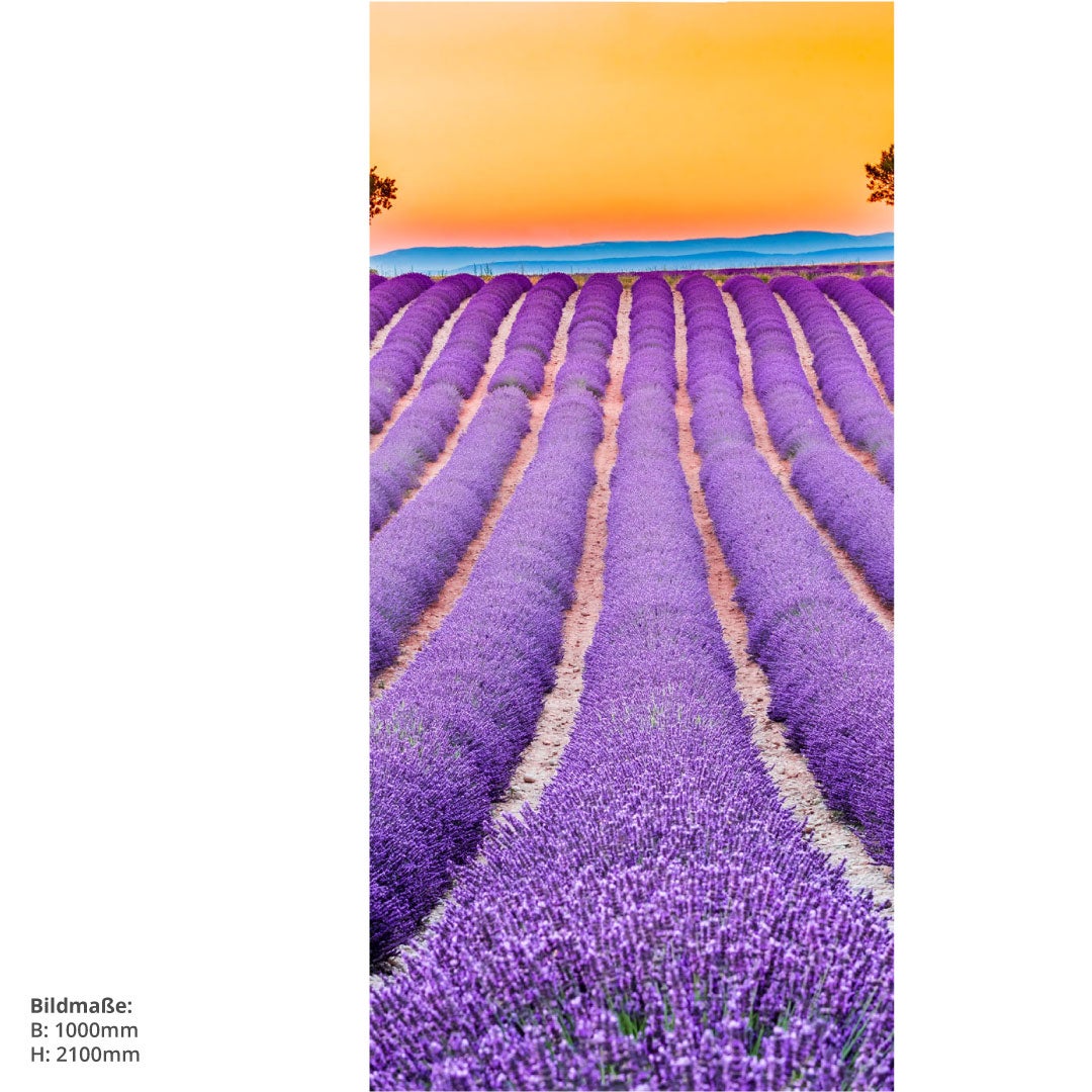 Lavendel Frankreich, fugenlose Wandpaneele aus Alu-Verbund 3mm, Duschrückwand 
