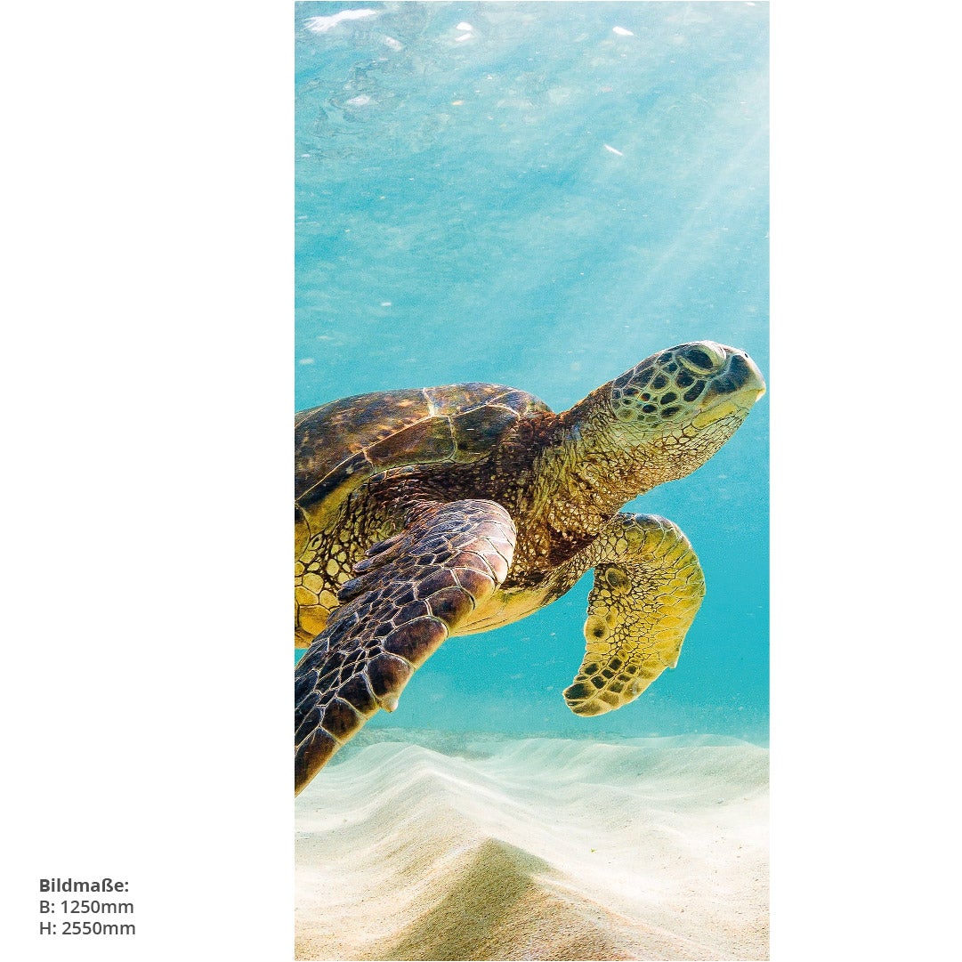 Schildkröte, fugenlose Wandpaneele aus Alu-Verbund 3mm, Duschrückwand 