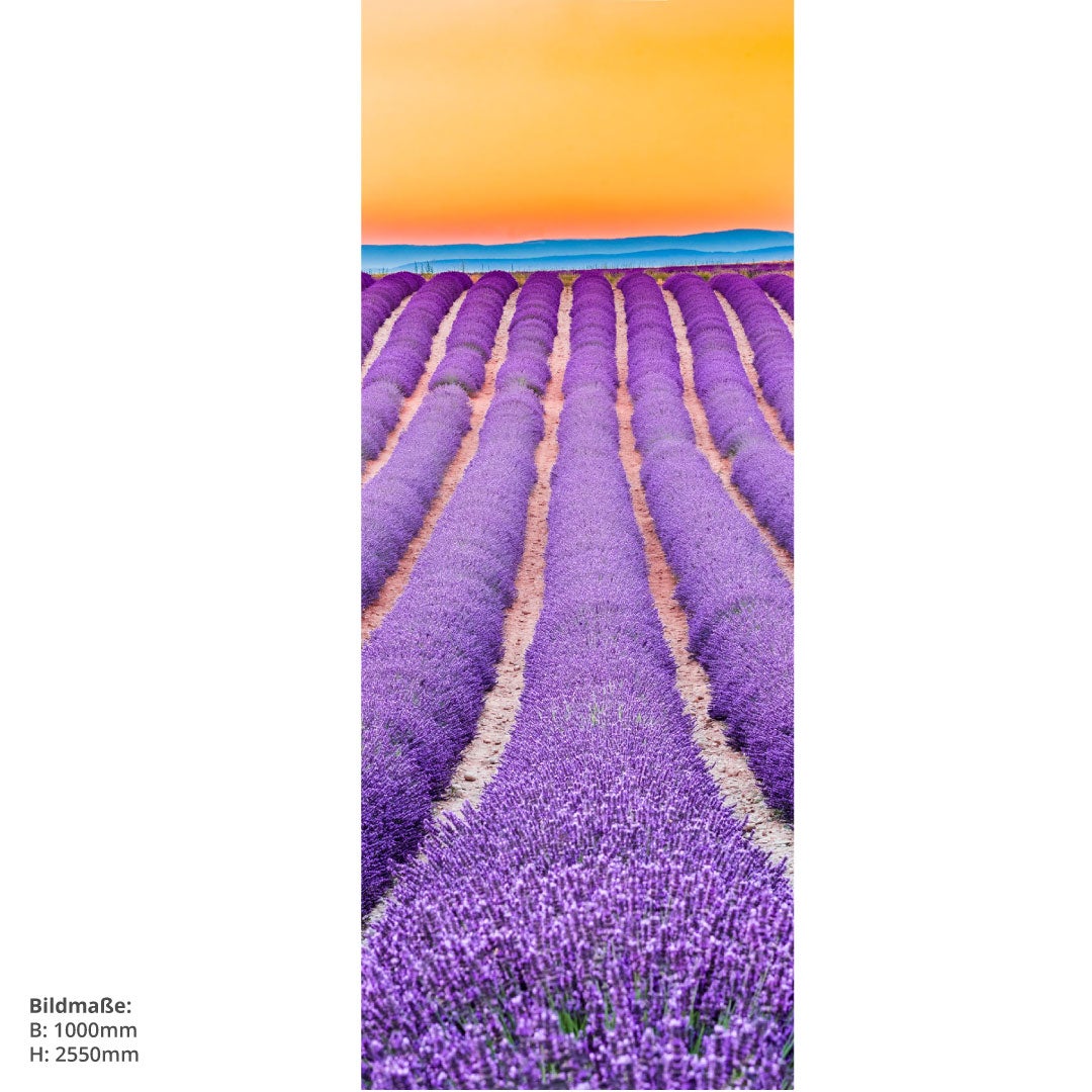 Lavendel Frankreich, fugenlose Wandpaneele aus Alu-Verbund 3mm, Duschrückwand 