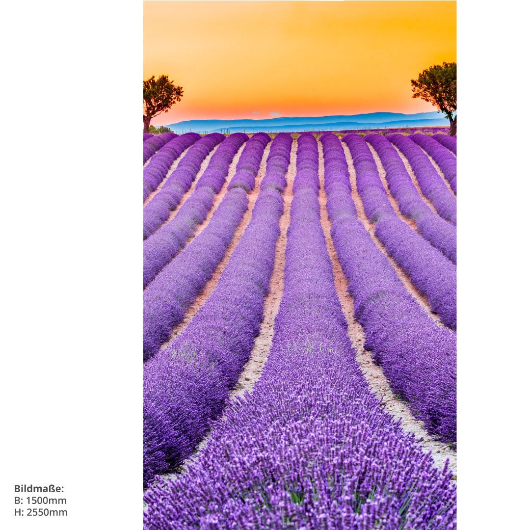 Lavendel Frankreich, fugenlose Wandpaneele aus Alu-Verbund 3mm, Duschrückwand 