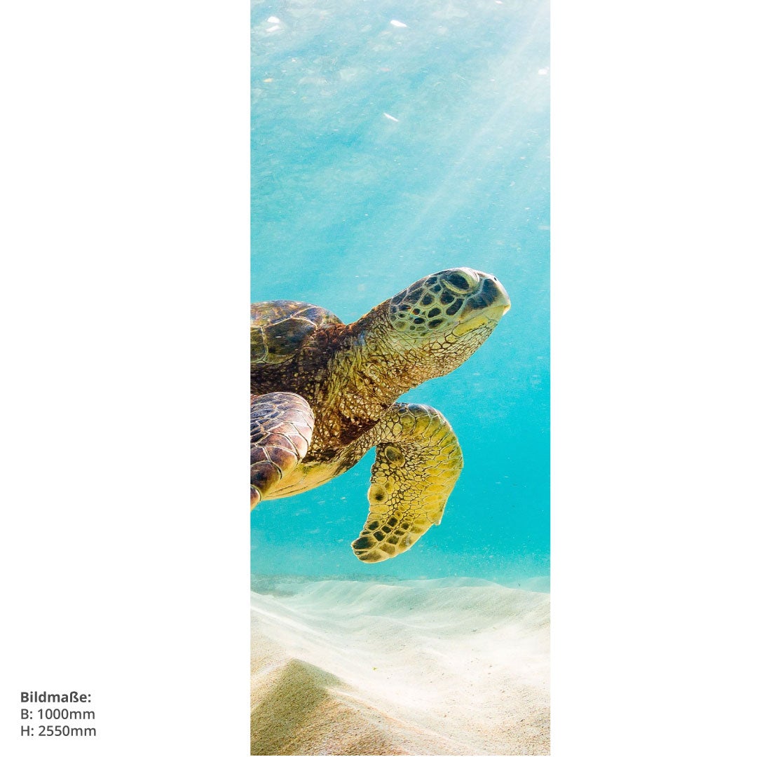Schildkröte, fugenlose Wandpaneele aus Alu-Verbund 3mm, Duschrückwand 