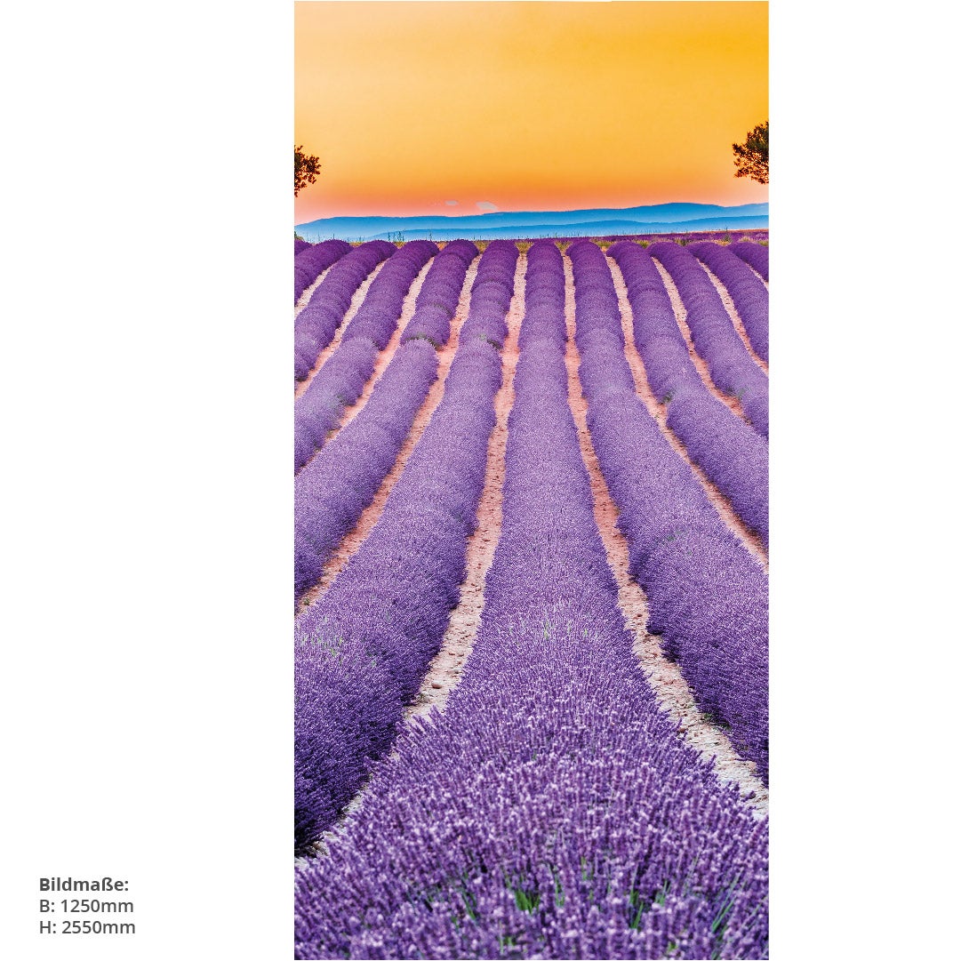 Lavendel Frankreich, fugenlose Wandpaneele aus Alu-Verbund 3mm, Duschrückwand 