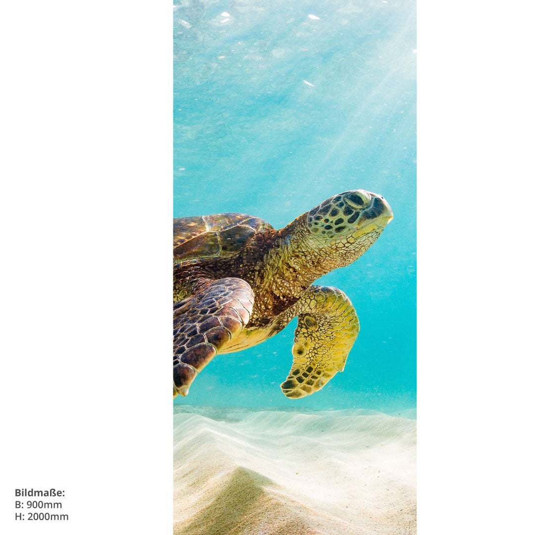 Schildkröte, fugenlose Wandpaneele aus Alu-Verbund 3mm, Duschrückwand 
