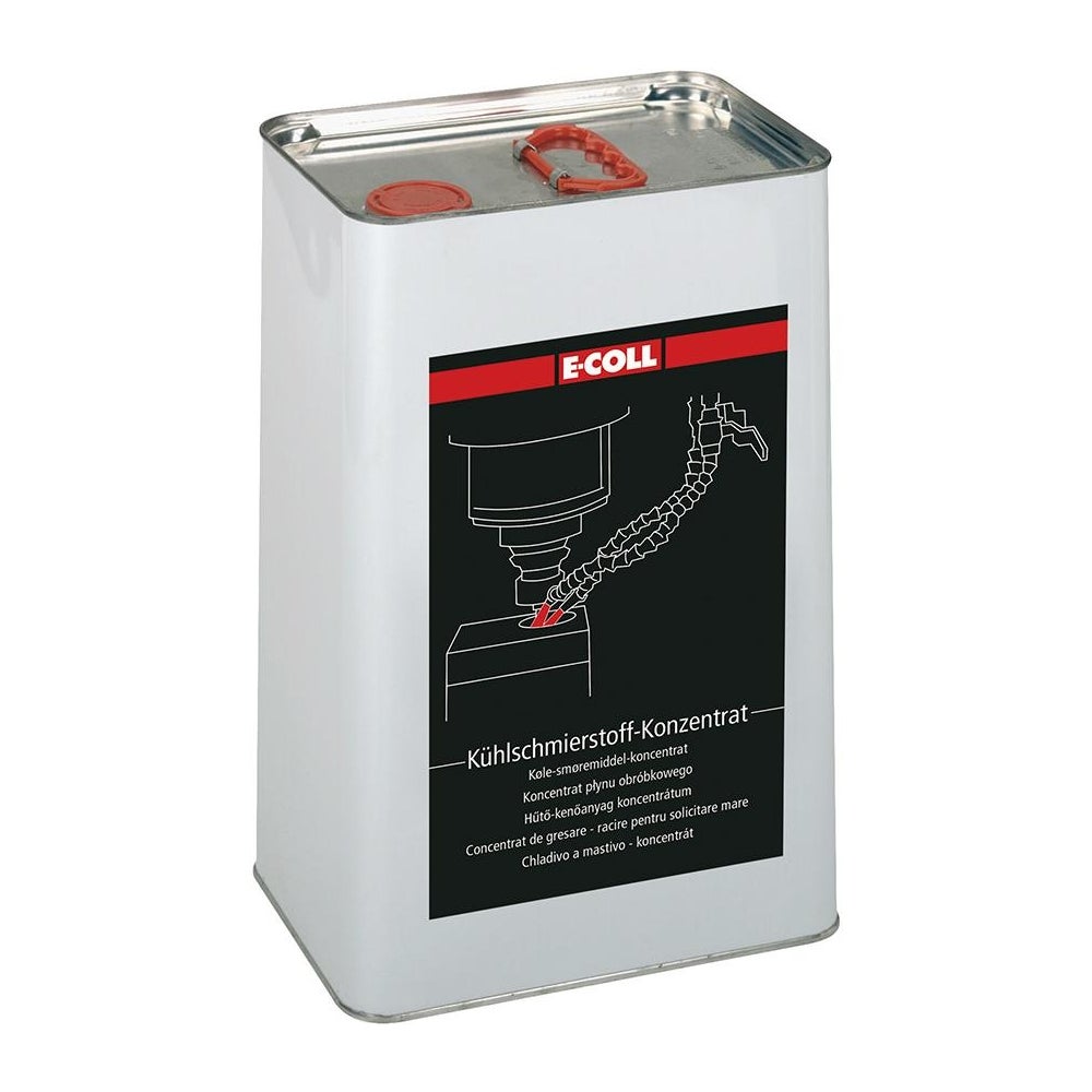 eco101119