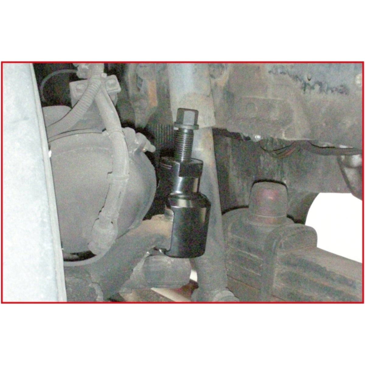 FOT_ANW_ALG_AUTO_450_0062_AW1_SALL_AING_V1