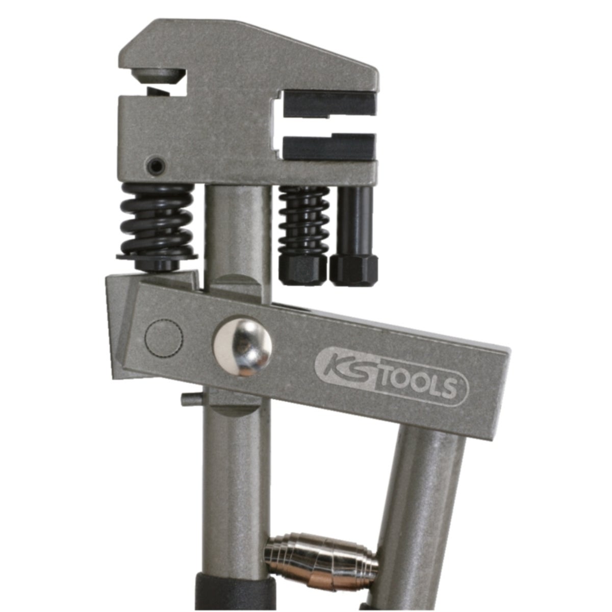 FOT_ANW_ALG_ZA_118_0055_AW4_SALL_AING_V1