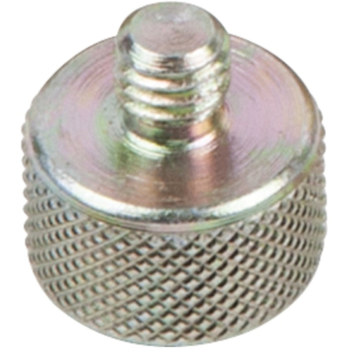 FOT_PRO_ALG_AUTO_440_0132_SALL_AING_V1