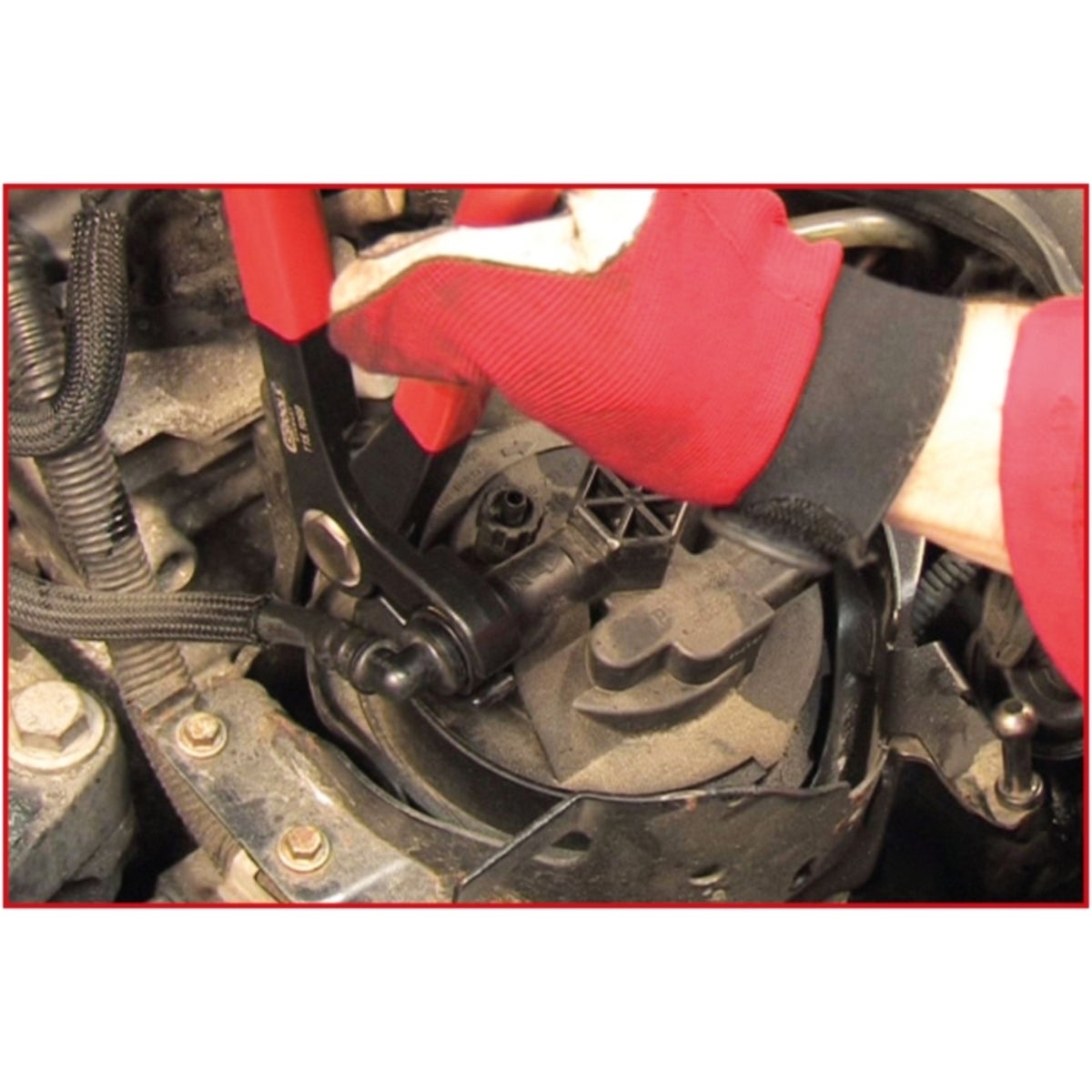 FOT_ANW_ALG_AUTO_115_1099_AW3_SALL_AING_V1