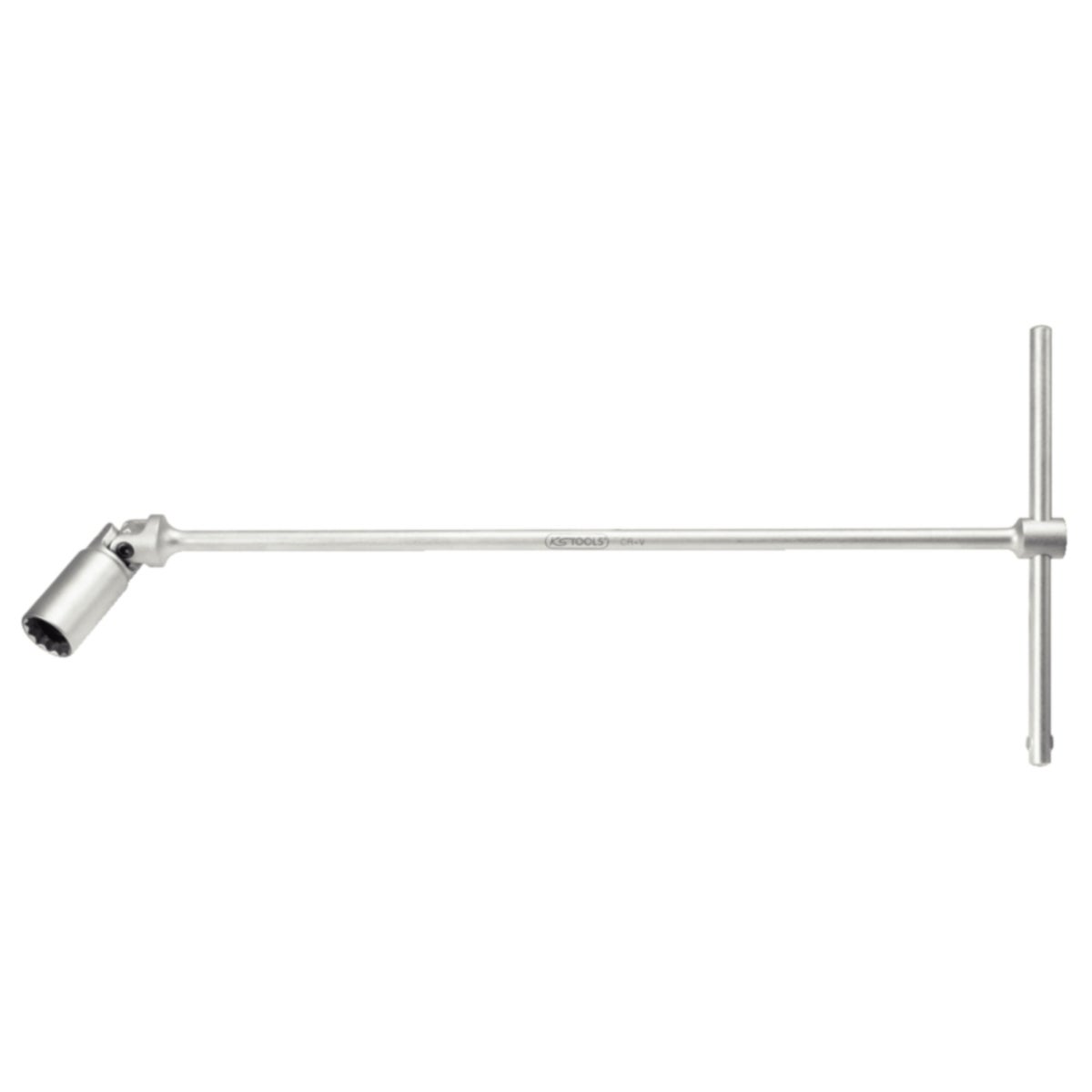 FOT_PRO_ALG_SCHL_517_113X_1-4__SALL_AING_V1