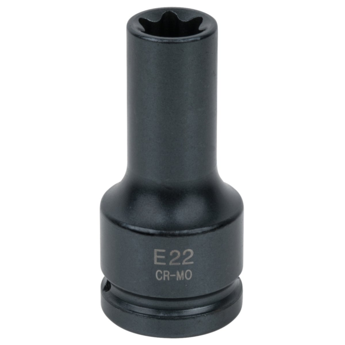 FOT_PRO_ALG_AUTO_460_1507_SALL_AING_V1