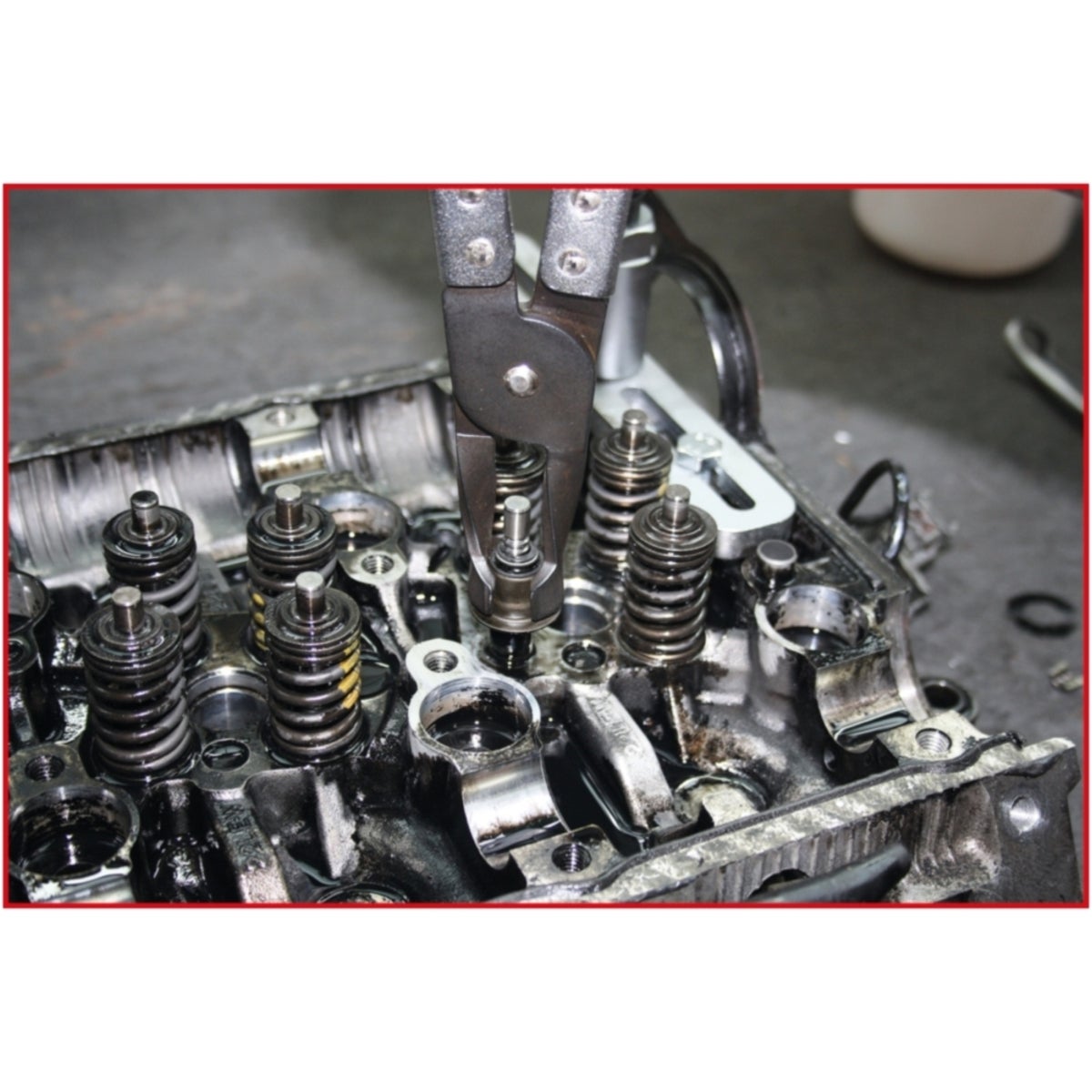 FOT_ANW_ALG_AUTO_115_300X_7-8__AW2_SALL_AING_V1