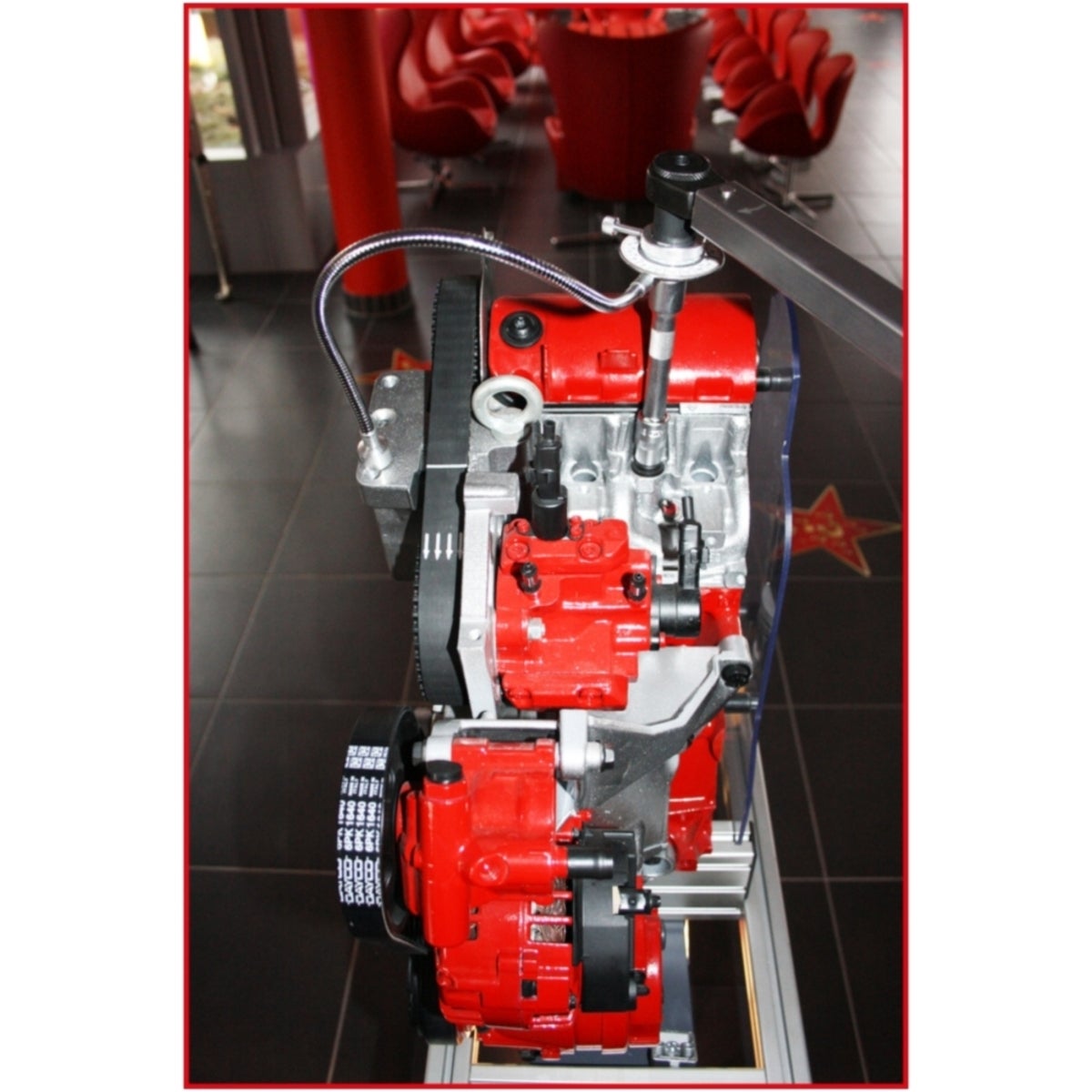 FOT_ANW_ALG_STK_516_119X_5-7__AW2_SALL_AING_V1