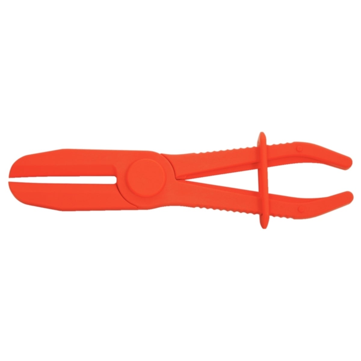 FOT_PRO_ALG_ZA_115_5054_SALL_AING_V1