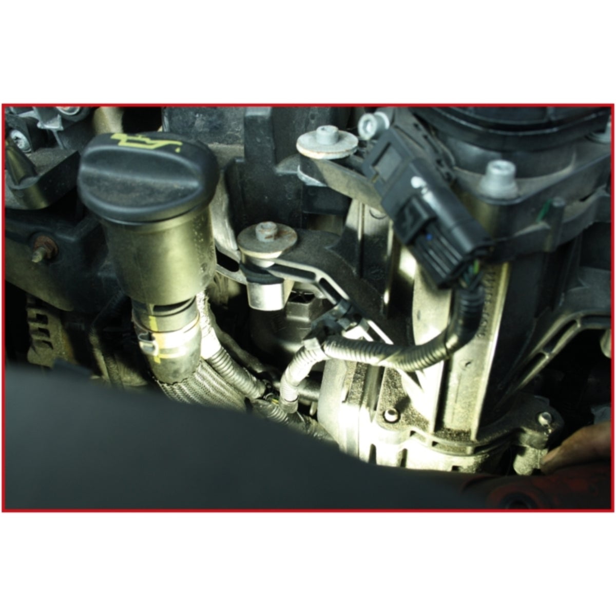 FOT_ANW_ALG_AUTO_150_9446_AW2_SALL_AING_V1