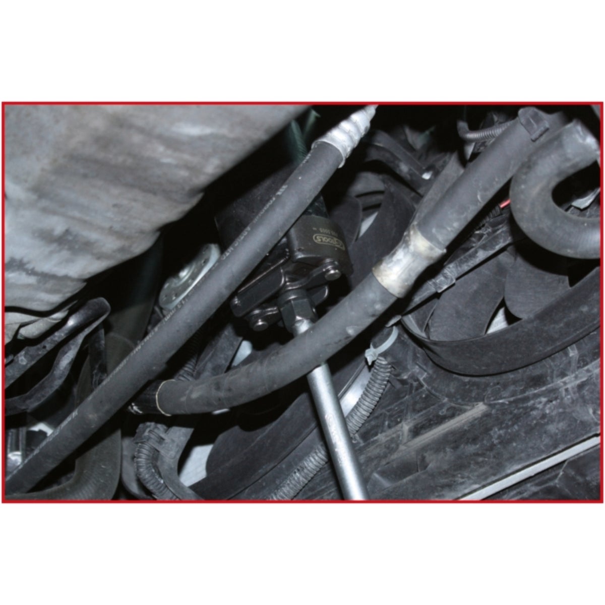FOT_ANW_ALG_AUTO_700_500X_5-6__AW5_SALL_AING_V1