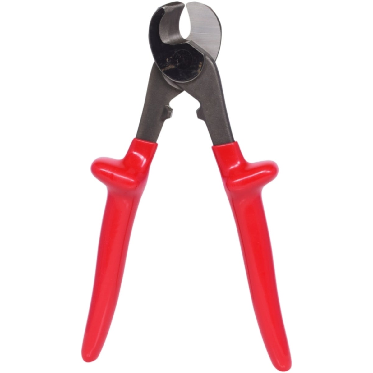 FOT_PRO_VAR_117_1269_2_SALL_AING_V1