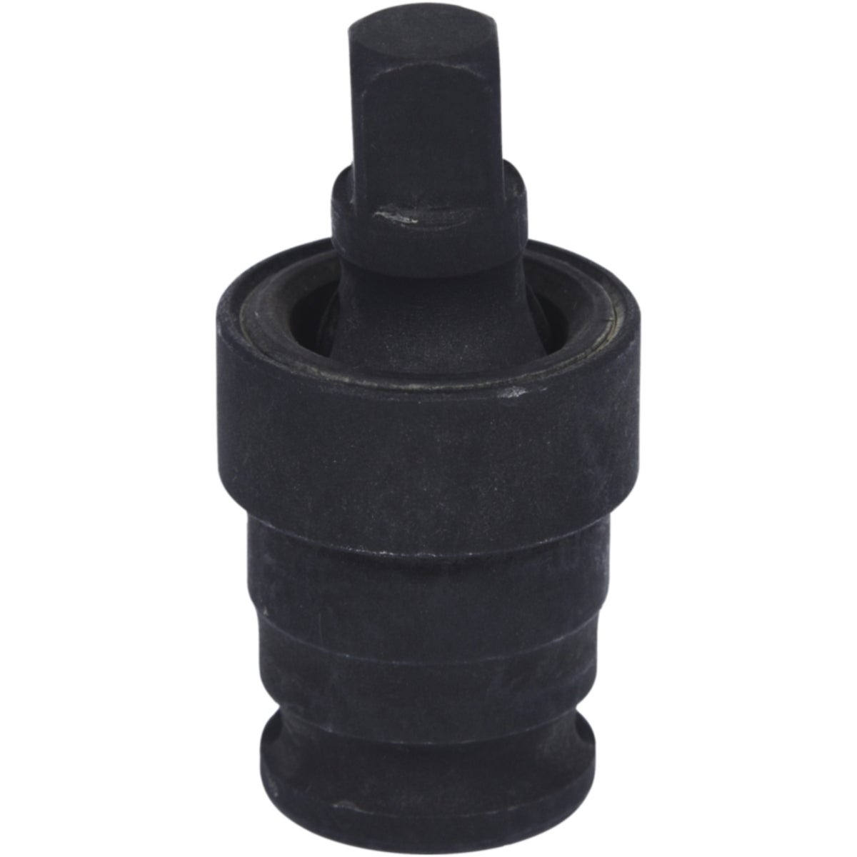 FOT_PRO_VAR_515_1533_6_SALL_AING_V1