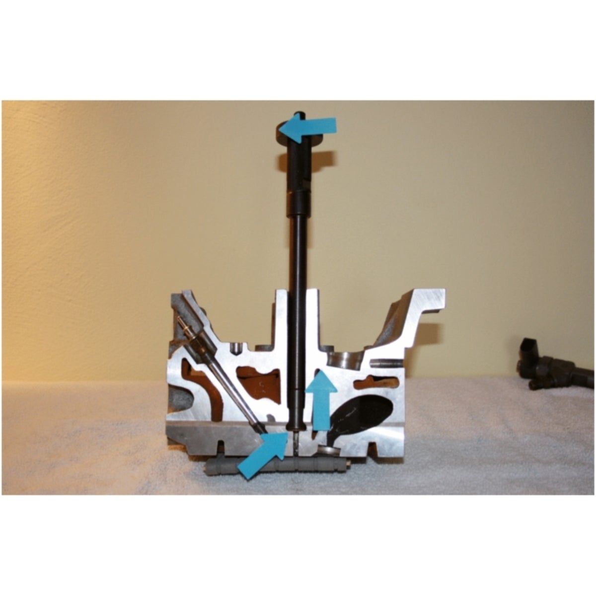 FOT_ANW_ALG_AUTO_152_1170_AW2_SALL_AING_V1