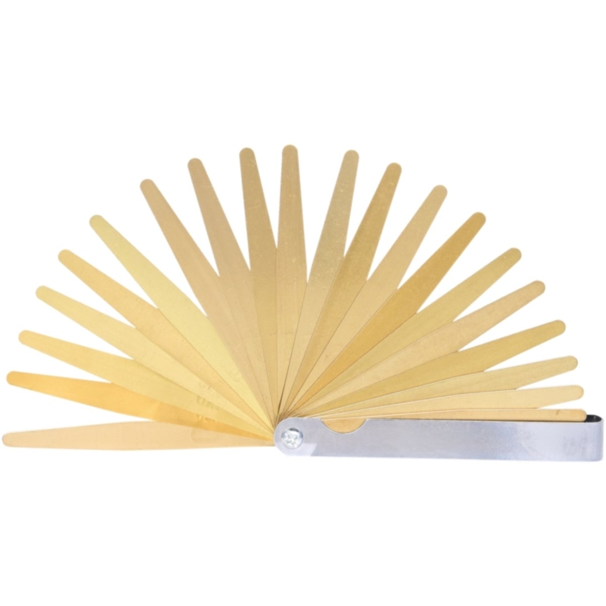 FOT_PRO_VAR_300_0613_2_SALL_AING_V1