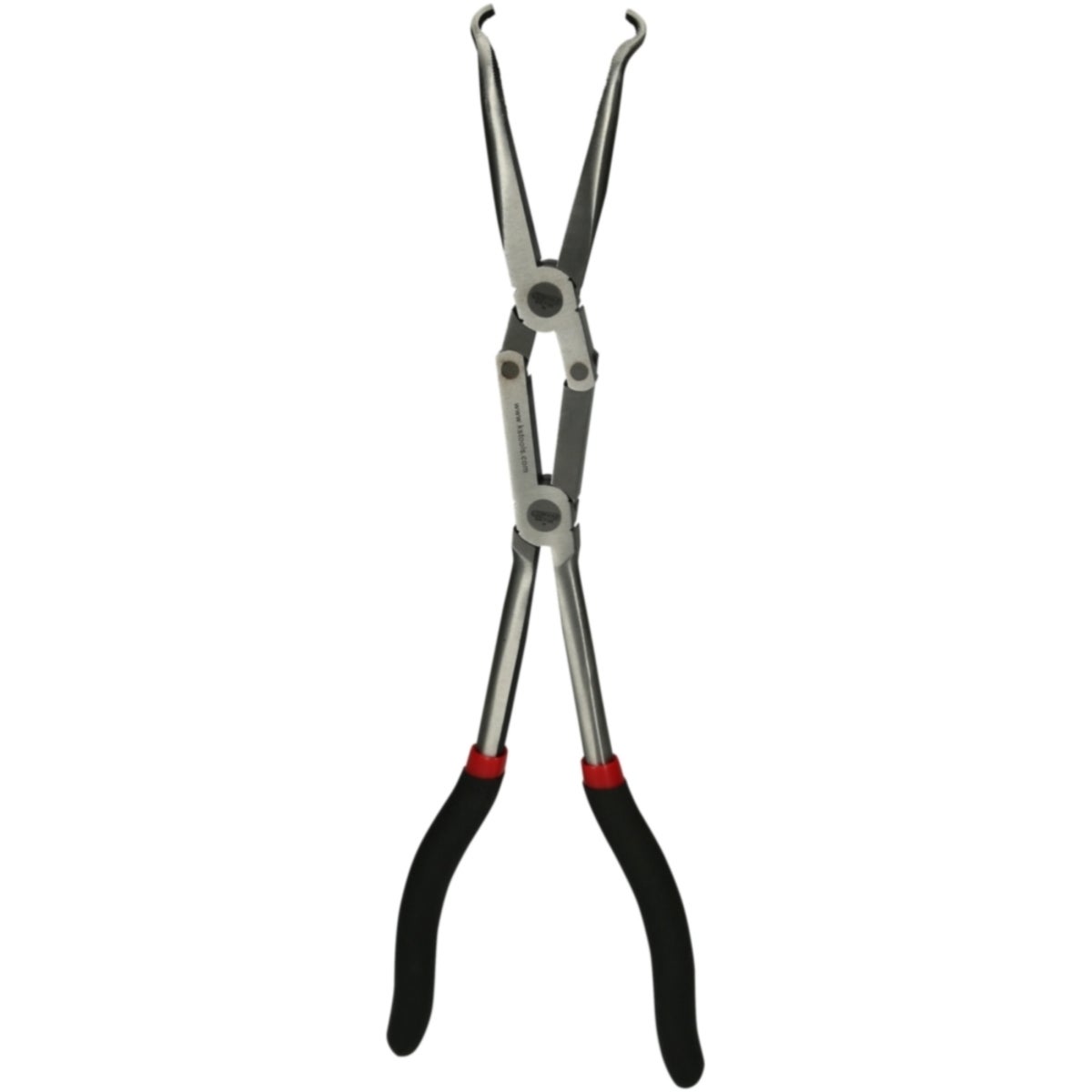 FOT_PRO_ALG_500_7166_SALL_AING_V1