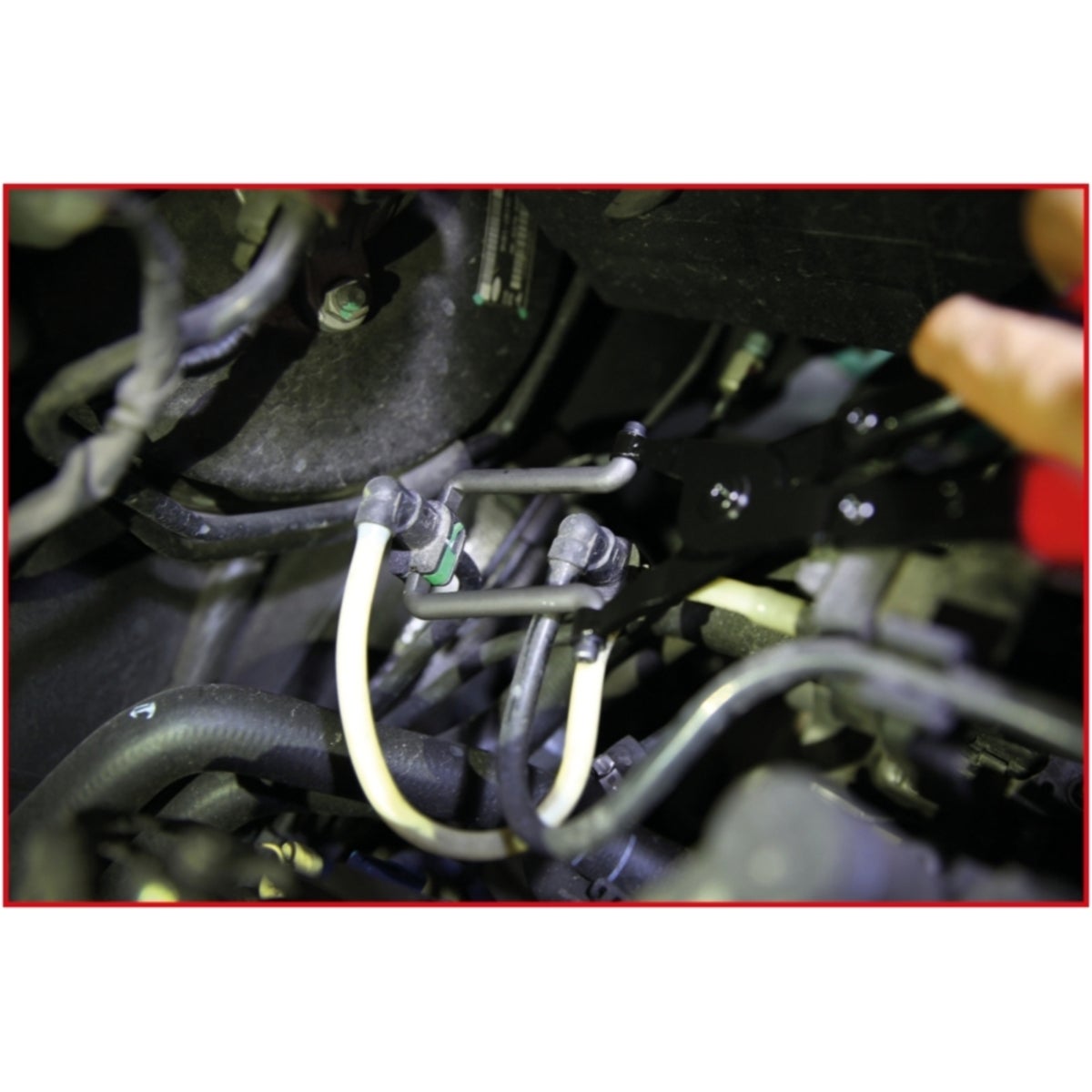 FOT_ANW_ALG_AUTO_115_0906_AW4_SALL_AING_V1