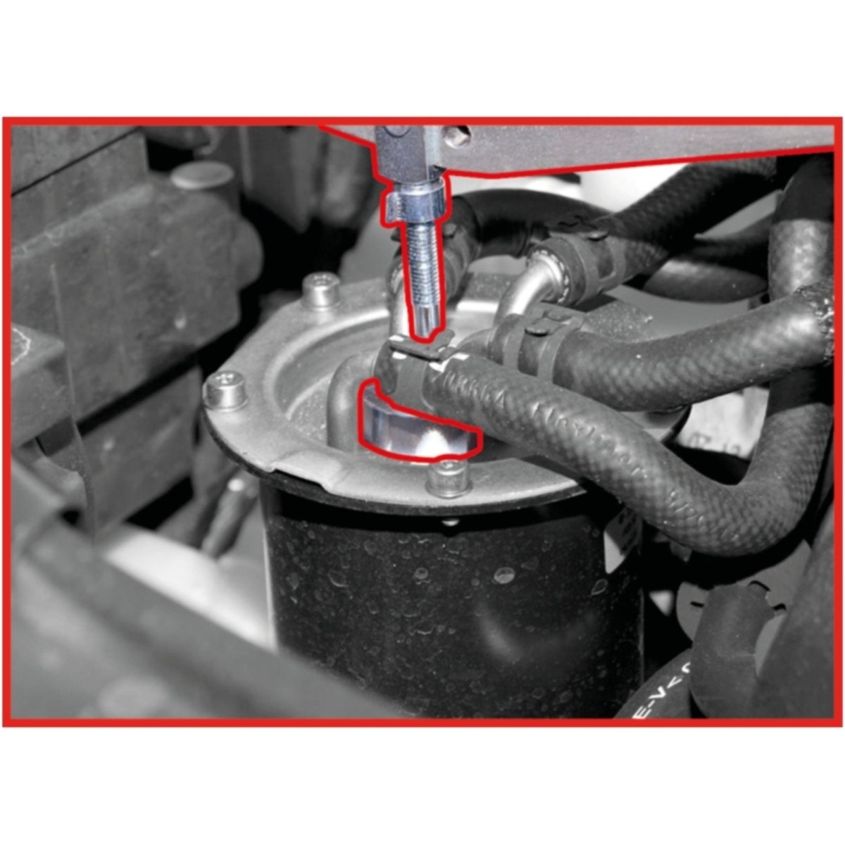 FOT_ANW_ALG_AUTO_150_3126_AW8_SALL_AING_V1