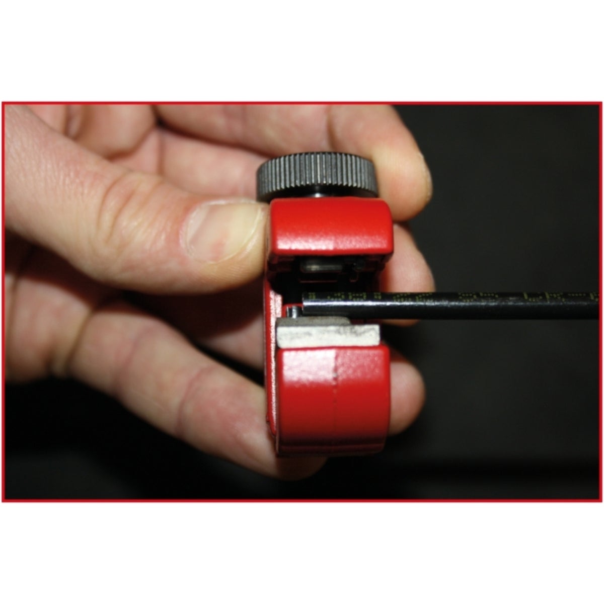 FOT_ANW_ALG_AUTO_150_2226_AW1_SALL_AING_V1