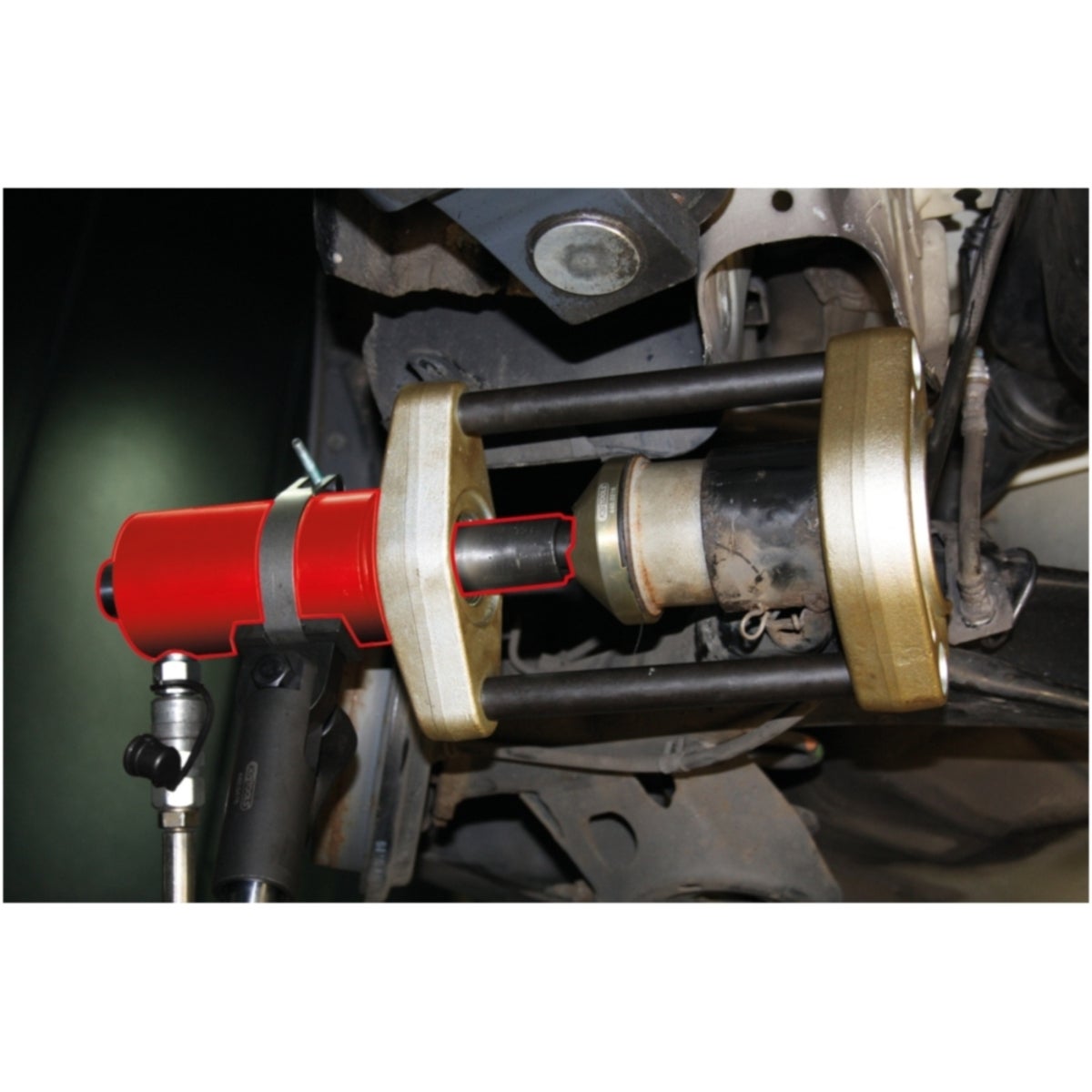 FOT_ANW_ALG_AUTO_440_0010_AW2_SALL_AING_V1