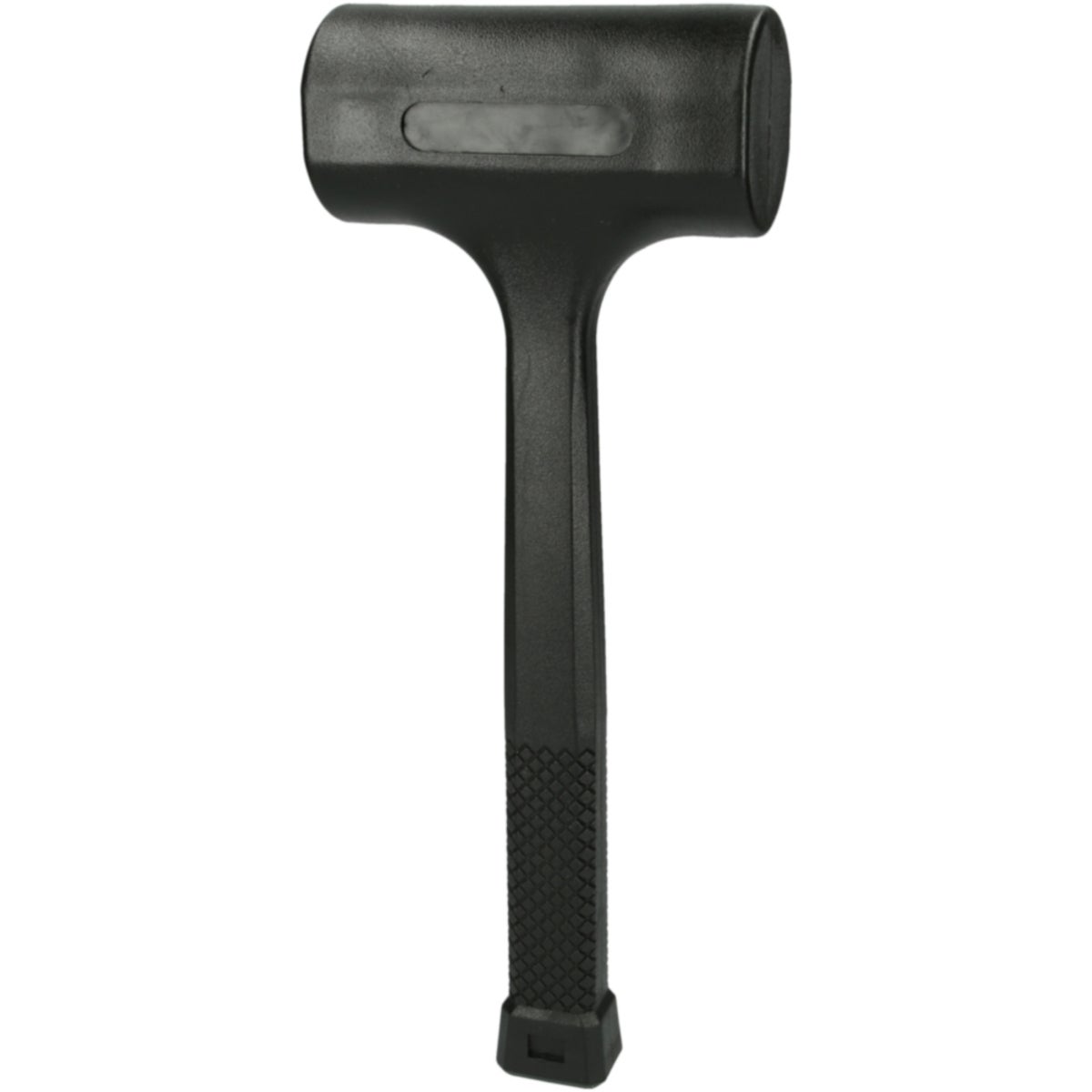 FOT_PRO_ALG_140_5258_SALL_AING_V1