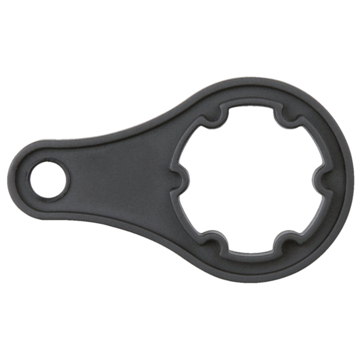 FOT_PRO_ALG_AUTO_150_1940_SALL_AING_V1