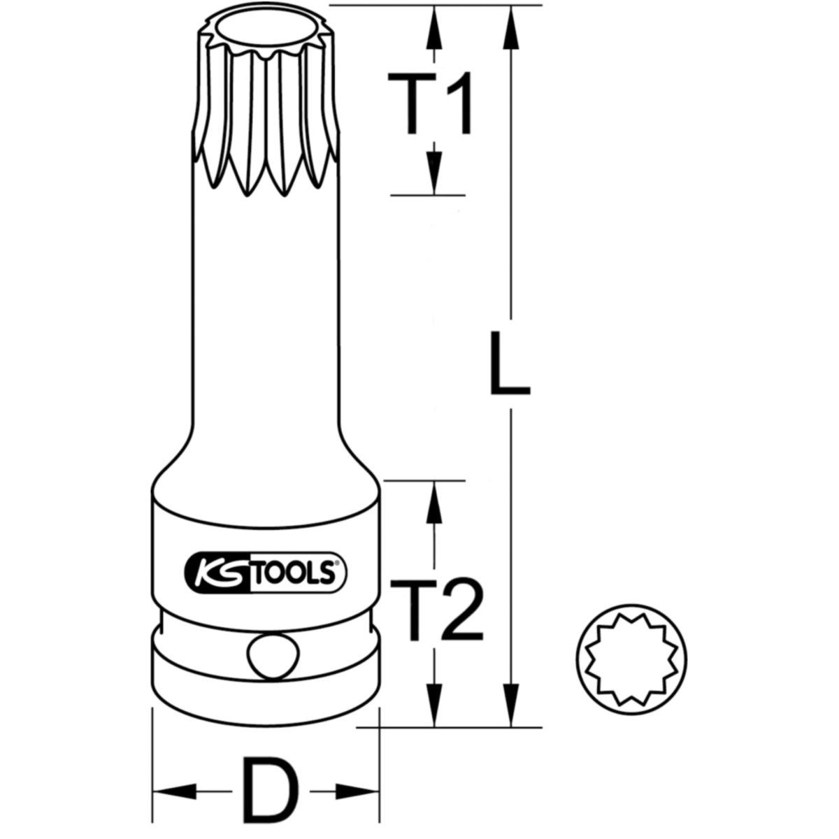 TECHZEI_515_059X_6-7__SALL_AQU_V1