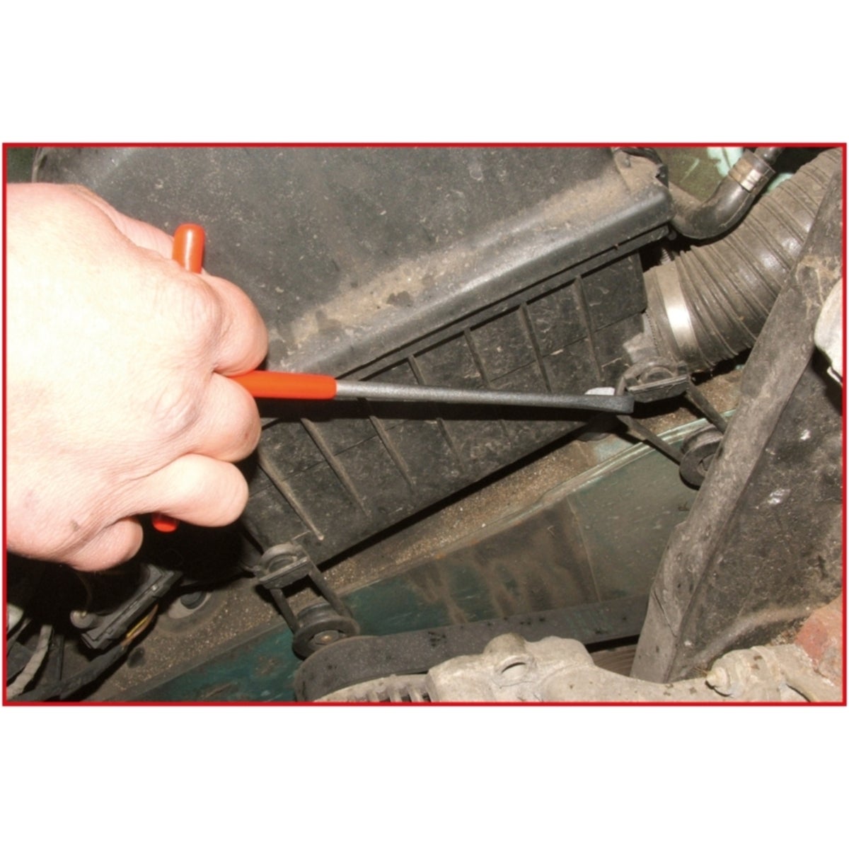 FOT_ANW_ALG_AUTO_150_124X_0-2__AW2_SALL_AING_V1