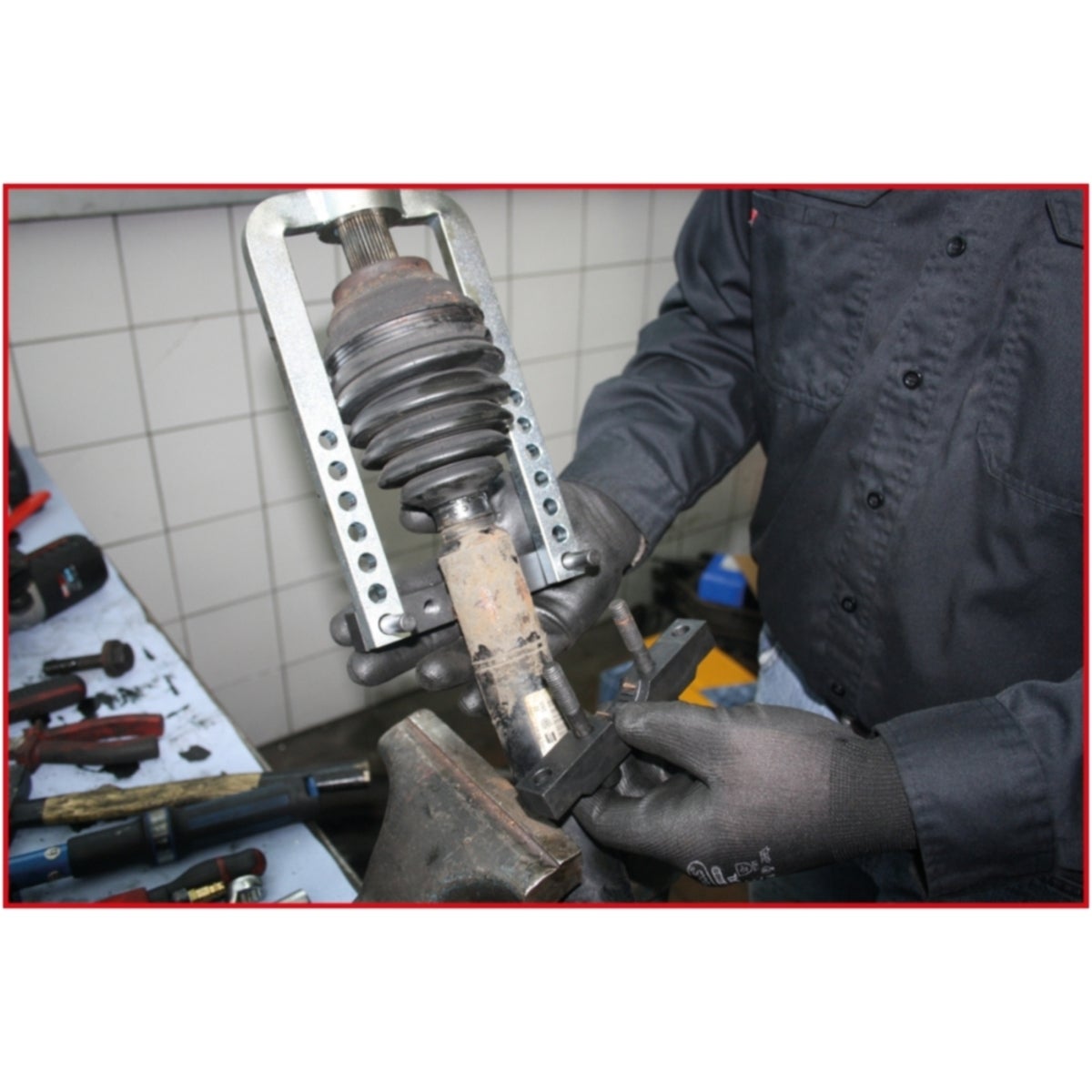 FOT_ANW_ALG_AUTO_150_1850_AW14_SALL_AING_V1